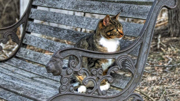 Остановиться, оглядеться