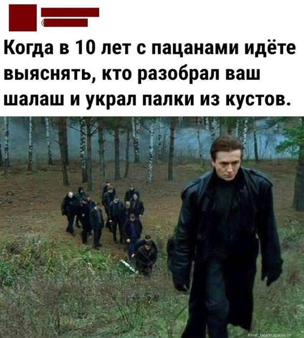 Свежие веселые картинки