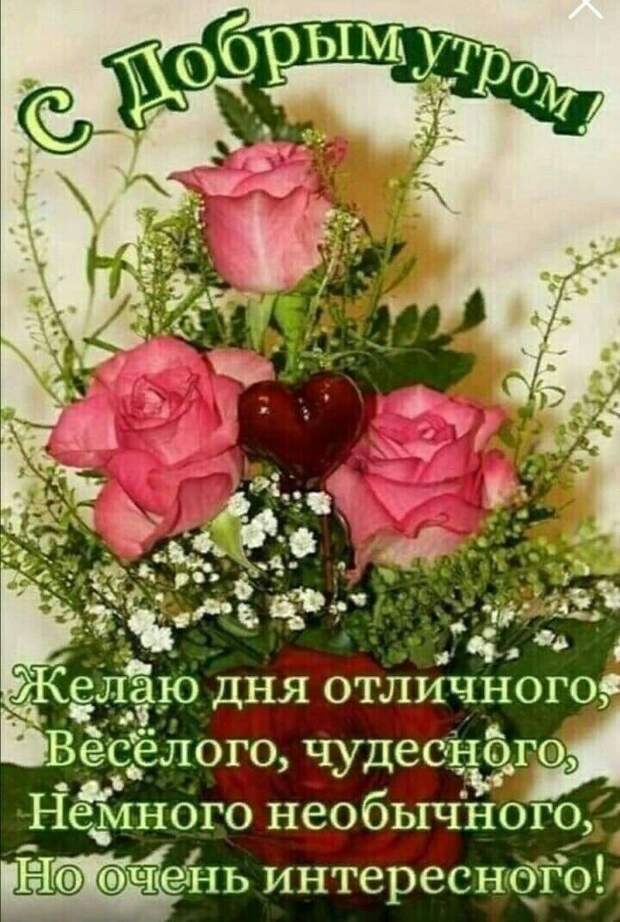 Веселый юмор на злобу дня