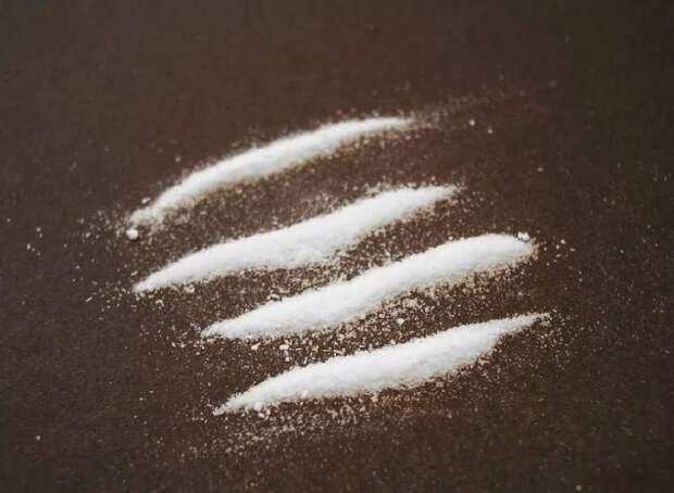 белые списки в Петербурге