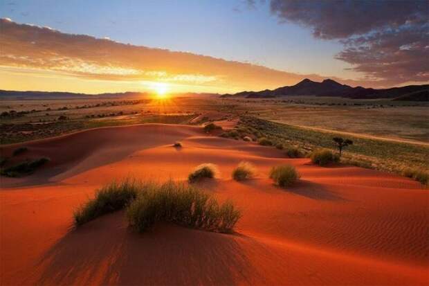 Да, пустыня тоже может быть красивой.  Фантастические пейзажи Намибии