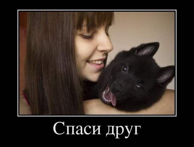 Позитивные и жизненные демотиваторы