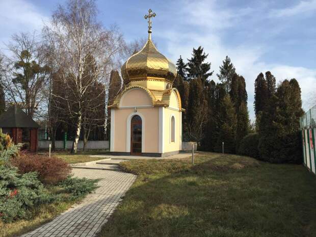 фото из личного архива