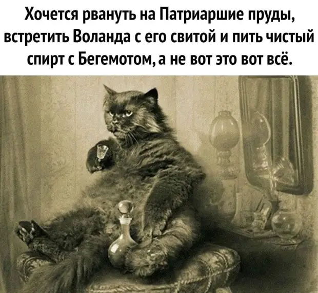 - Это ты что, тебя пучит что ли?...