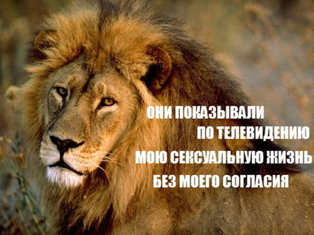 Позитивчик прикол, фото   юмор, юмор