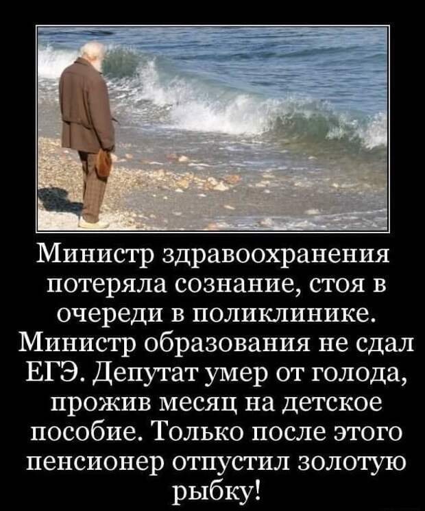Прикольные картинки картинки из сети, прикол, юмор