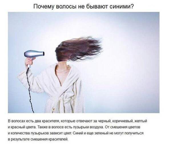Ответы на детские вопросы, от которых «взрывается» мозг!