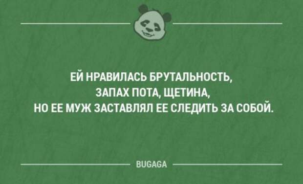 Запах понравился. Смешные выражения и редкие мемы.