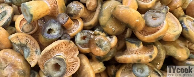 Рыжики соленые горячим способом вкусный рецепт с фото пошагово и видео