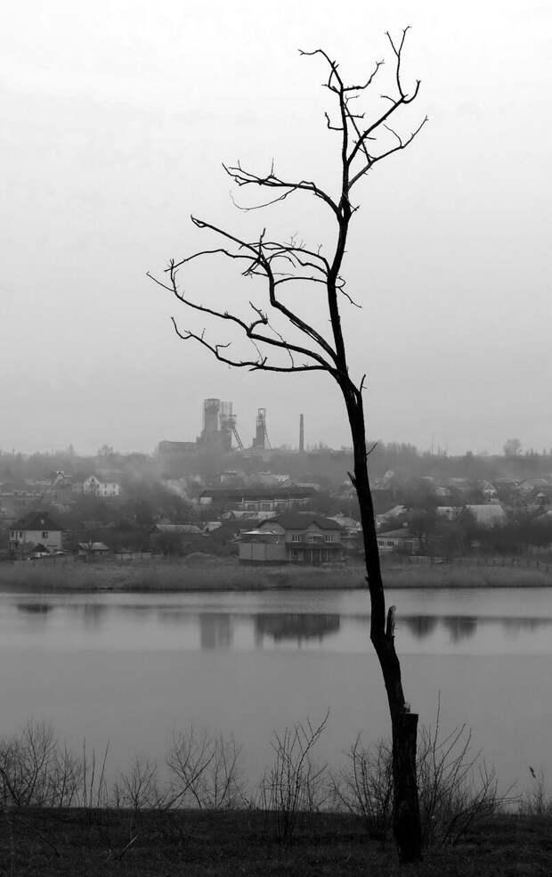 Доброе утро, Донецк