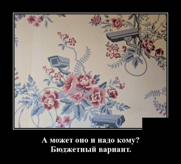 Демотиваторы (30 фото)