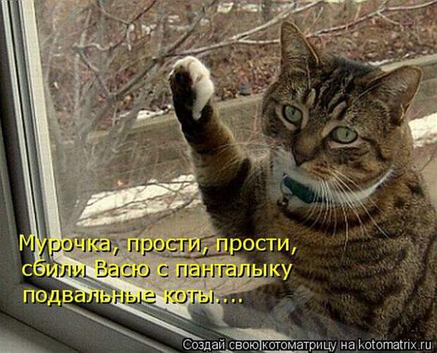 Мысли вслух :)