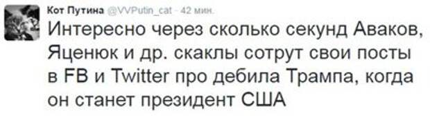 704f7fb38bc8.jpg