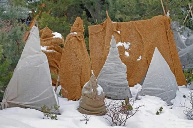 Как защитить сад от мороза при помощи отличных идей