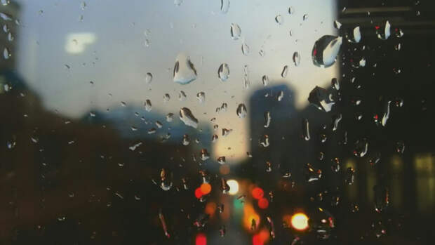 Снова дождь. О погоде в Алтайском крае 3 июня