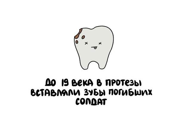 Короткие и интересные факты на все случаи жизни