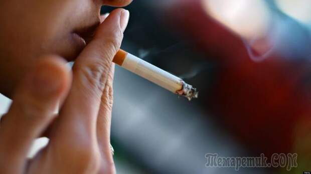 Закон о курении в общественных местах 2018 штрафы