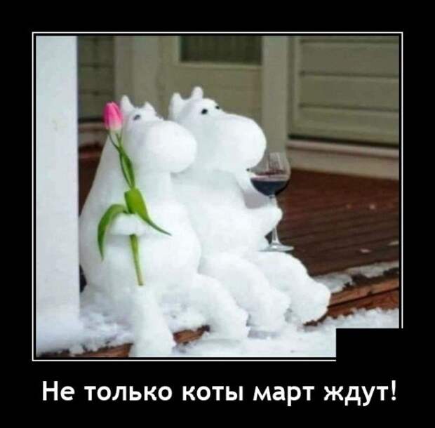 Демотиватор про котов