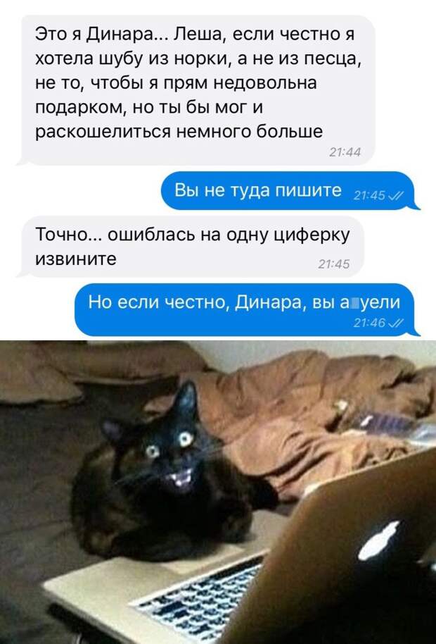 Подборка картинок. Дневной выпуск (30 фото)
