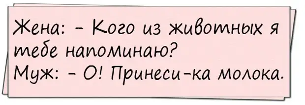 Как не напоминать мужу о бывшей