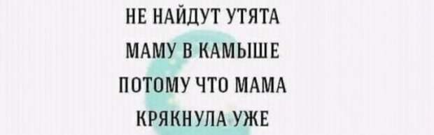 Юмор на любителя Юмор на любителя