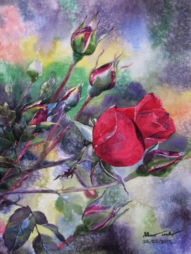 Roses painting: