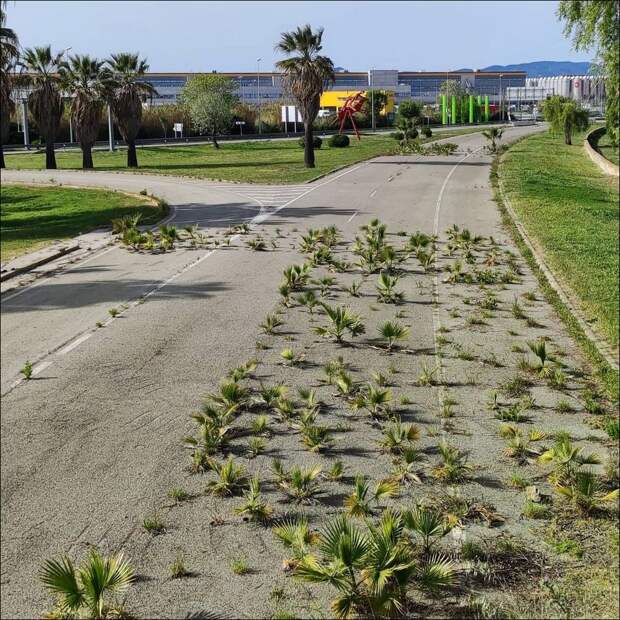 фото приколы