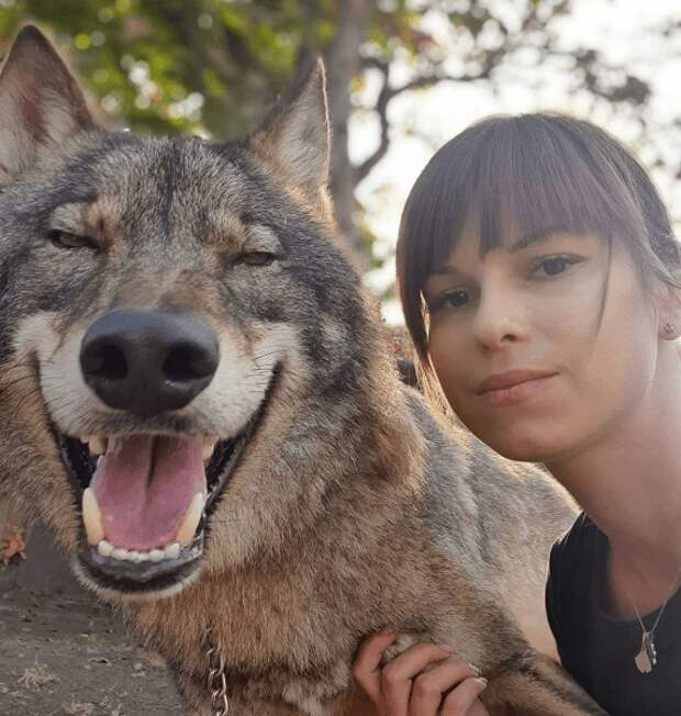 Юлия и Серый волк: не сказка, а быль