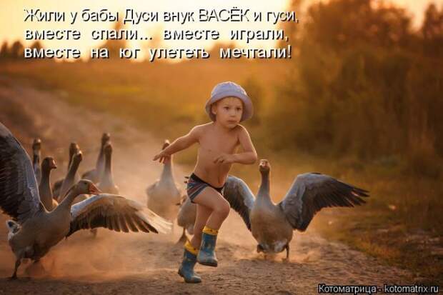 Забавные животные (50 фото)