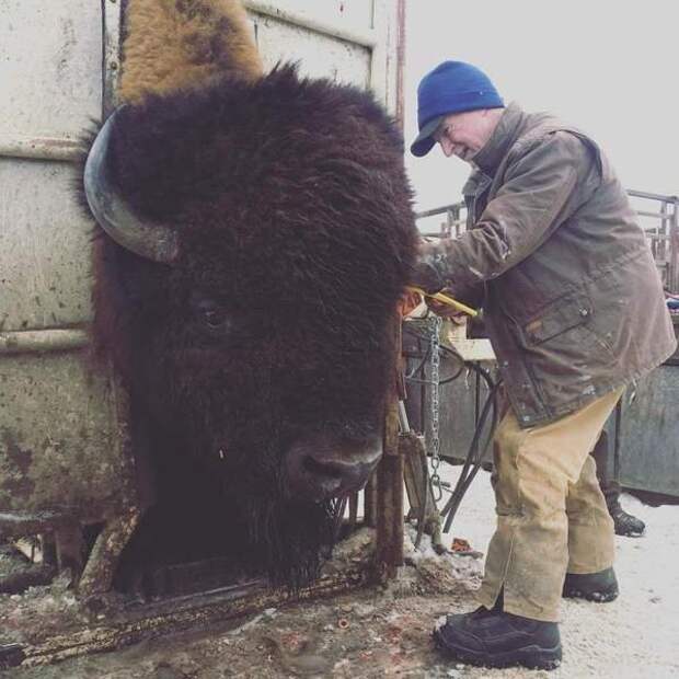 картинкопост