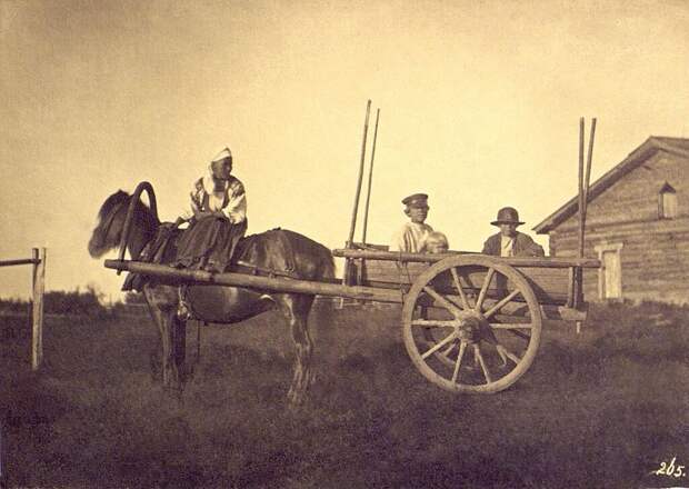 Крестьяне в двуколке Неизвестный автор, 1860-е, Санкт-Петербургская губ., Кунсткамера.