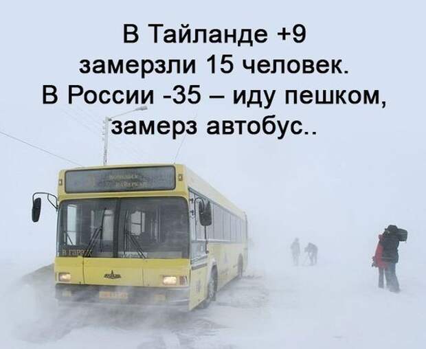 Прикольные картинки. Вечерний выпуск (50 фото)