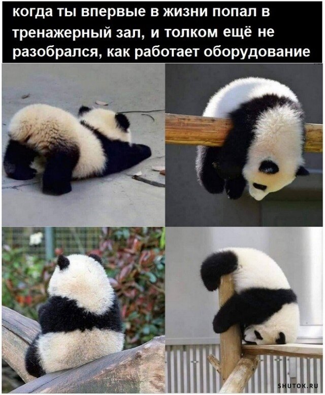 Мемы, картинки, юмор!) Весна шагает по планете!)