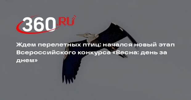 В России началось наблюдение за весенней миграцией птиц