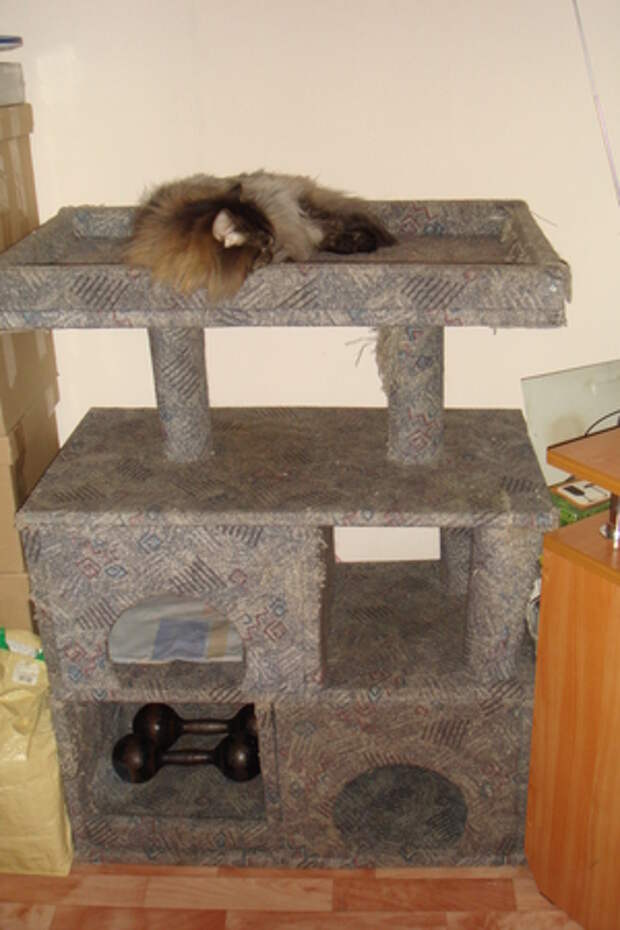 Кошкин дом с когтеточкой своими руками фото с размерами
