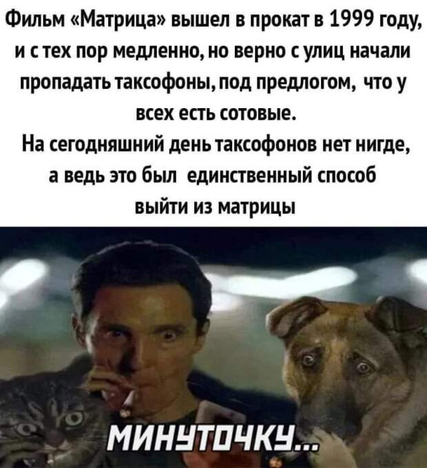 Фото-прикольности