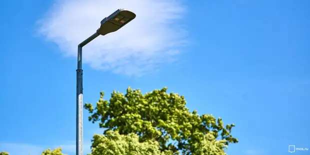 В сквере между Русанова и Седова станет светлее