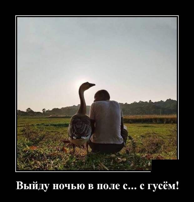 Забавные и прикольные демотиваторы для хорошего настроения