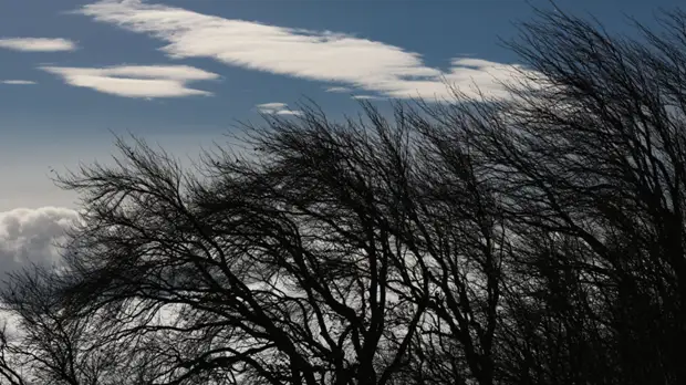 В Приморье сильный ветер сорвал кровлю на школе и поликлинике