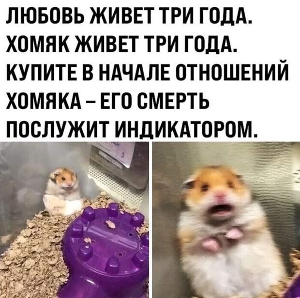 Житейская хитрость, которая может спасти ваши отношения Житейская хитрость, которая может спасти ваши отношения