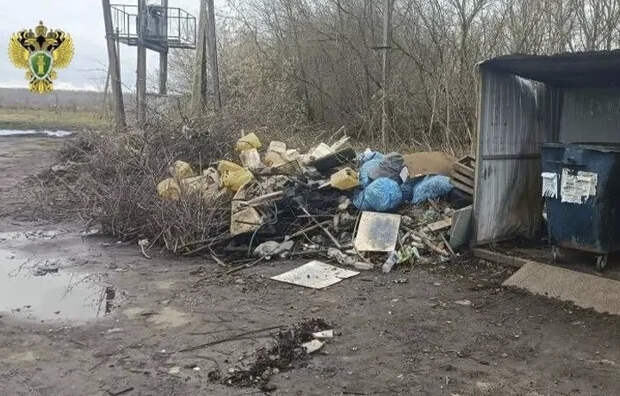 В Воловском районе выявлена несанкционированная свалка