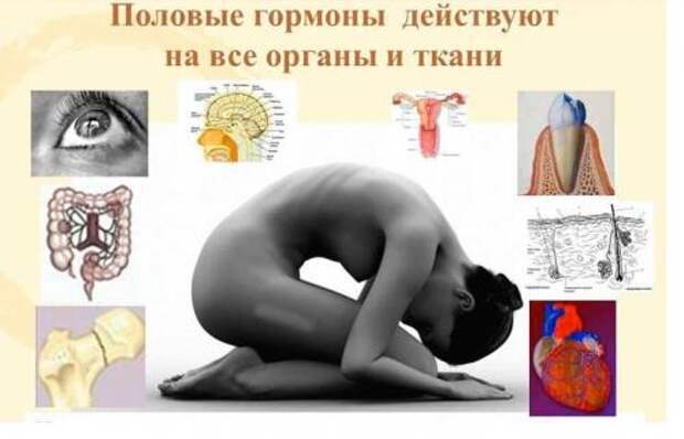 Интимные проблемы и расстройства. Введение 02 Интимные проблемы и расстройства. Введение 02
