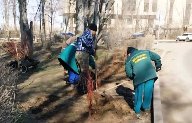 Еще два общественных пространства Астрахани получили «зеленый щит»