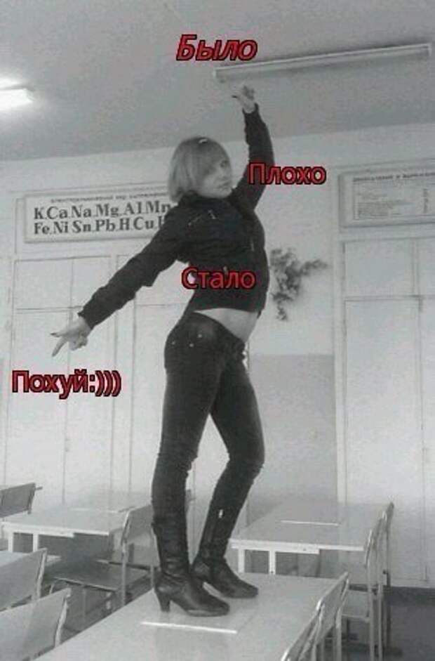 Приколы Приколы