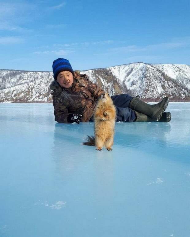 Подборка прикольных картинок