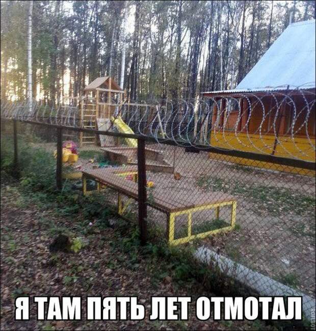 Смехотерапия.  30 приколов, чтобы отдохнуть