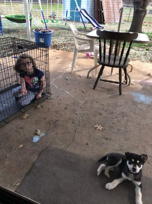 kartinok-veselyh-interesnyh-kartinki-smeshnye-kartinki-fotoprikoly kartinok-veselyh-interesnyh-kartinki-smeshnye-kartinki-fotoprikoly