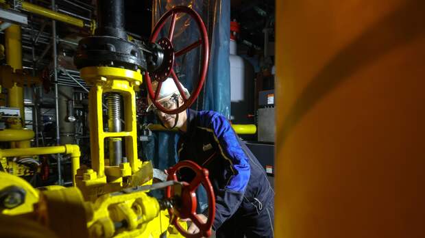 "Отвечает интересам". Японцы поддержали решение о закупке российского газа