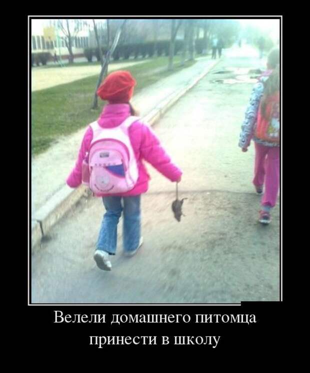 Демотиваторы демотиваторы, прикол, юмор