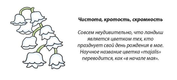 У каждого месяца есть цветок-покровитель. Какой он у вас?